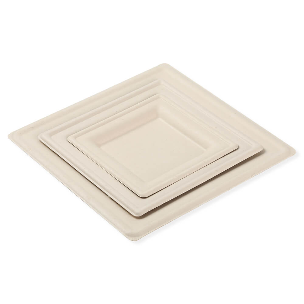 Bamboo Square Plate Featured Image