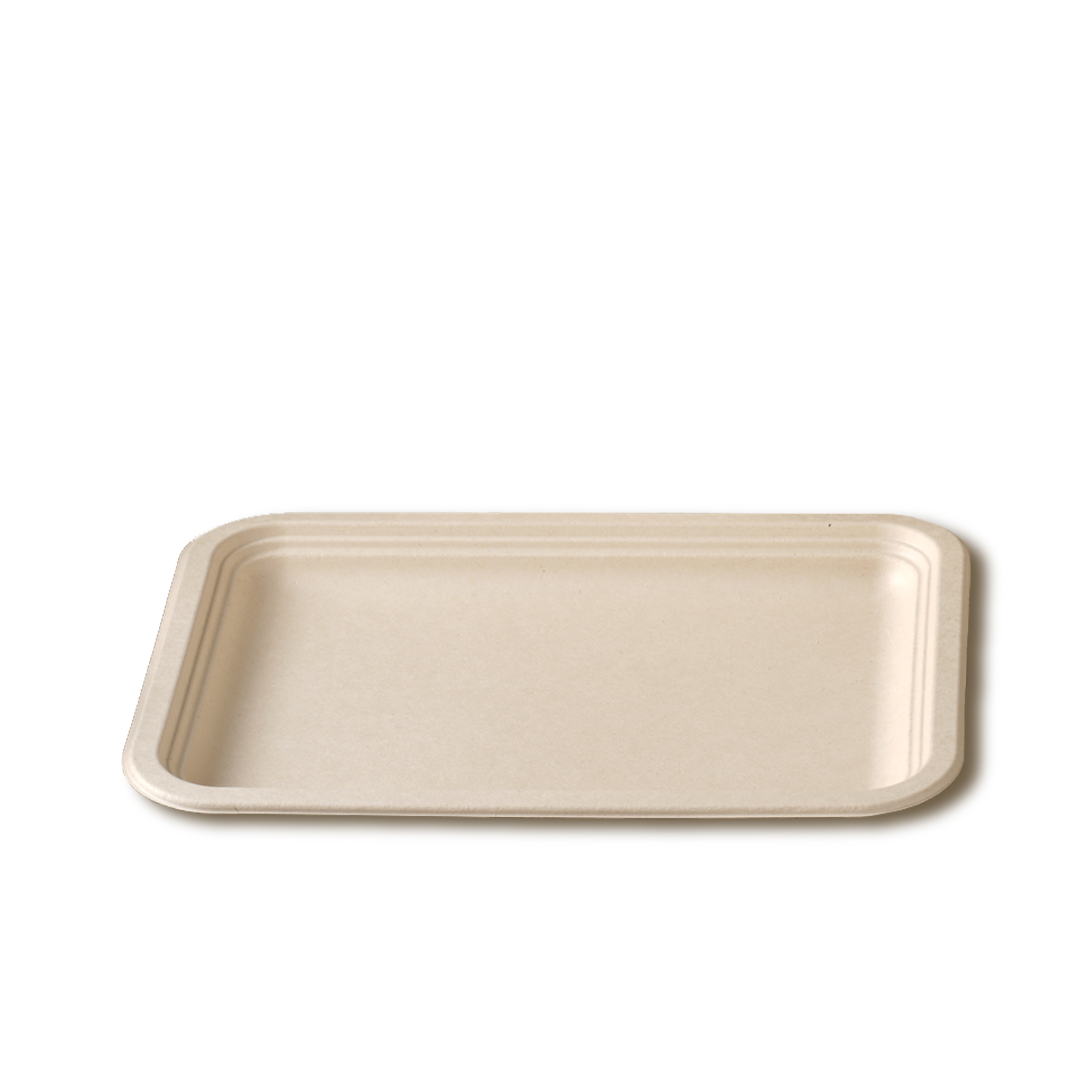 Meat plate 14″x10″ Rectangle Plate Featured Image