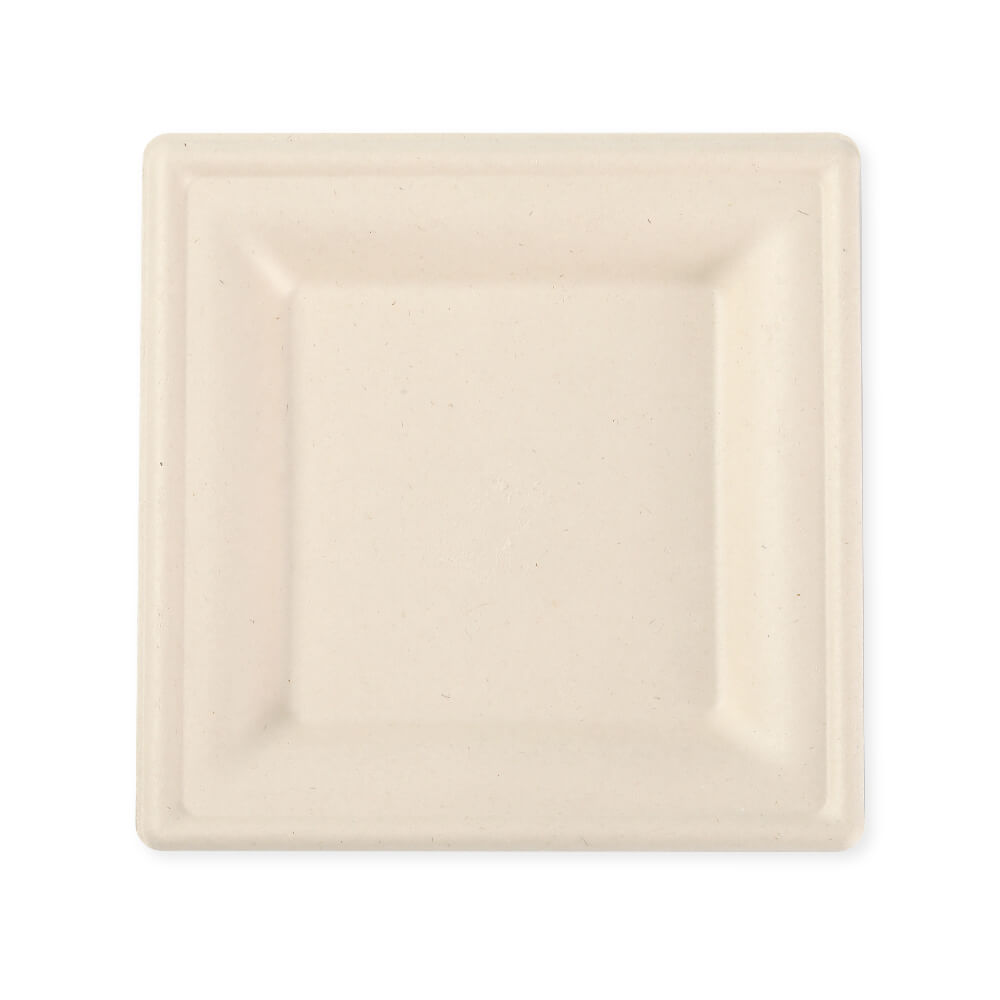 Bamboo Square Plate Featured Image