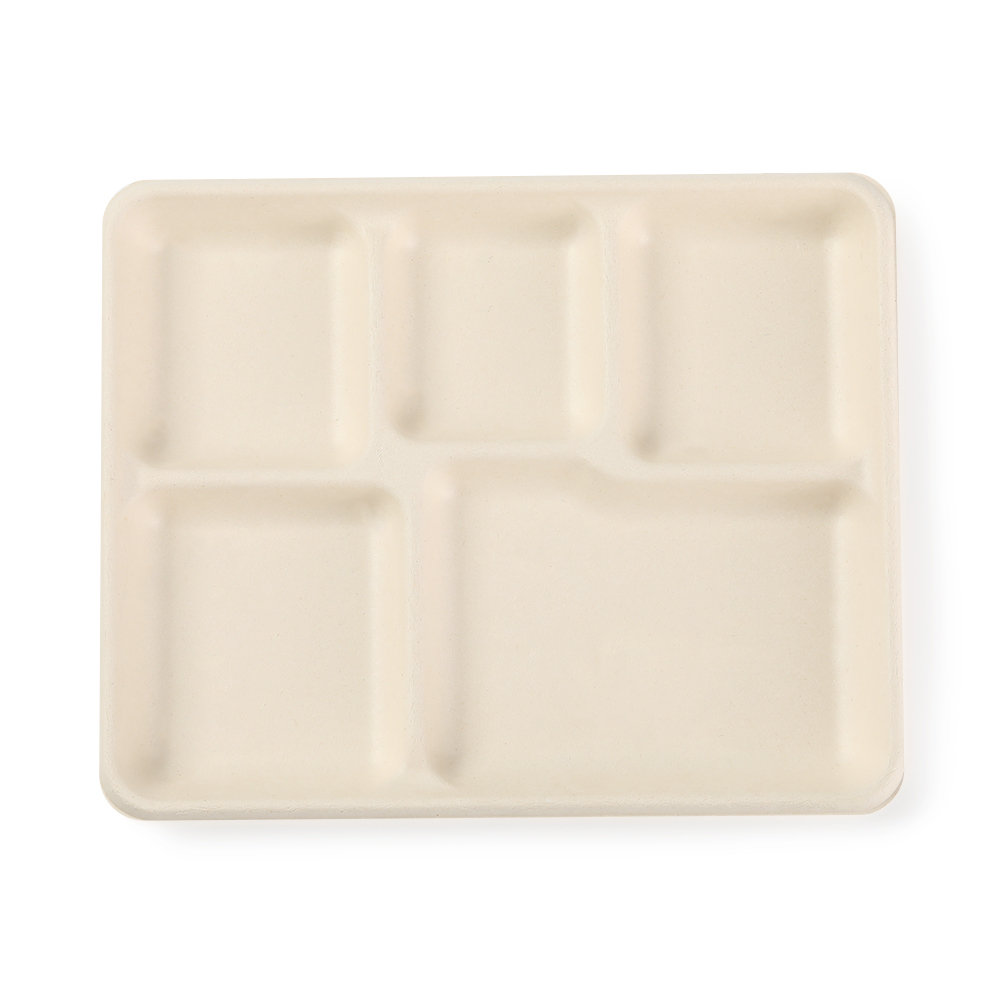 5 compartment tray Featured Image