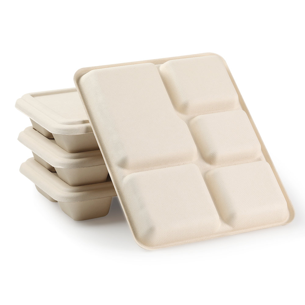 5 compartment tray Featured Image