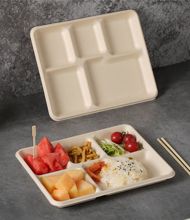 5 compartment tray (8)