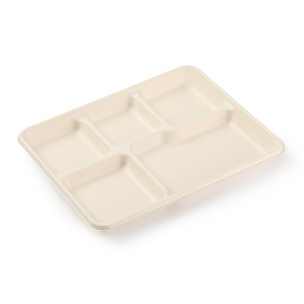 5 compartment tray Featured Image