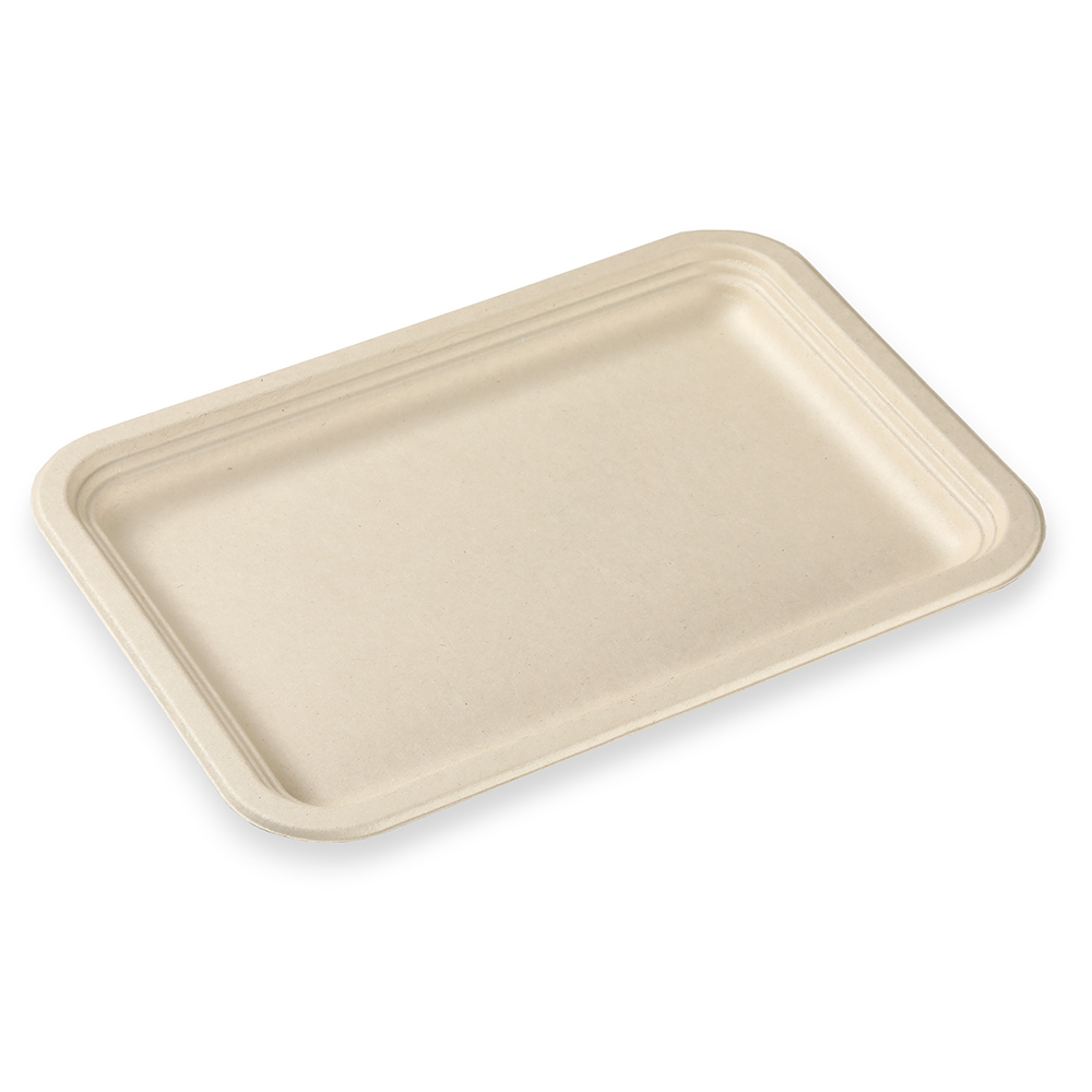 Meat plate 14″x10″ Rectangle Plate Featured Image