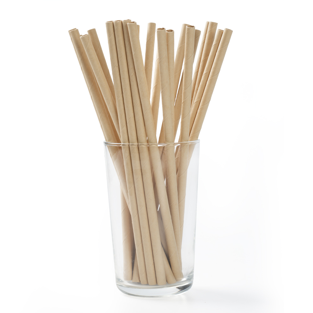 Bamboo pulp straw (Flat mouth) Featured Image