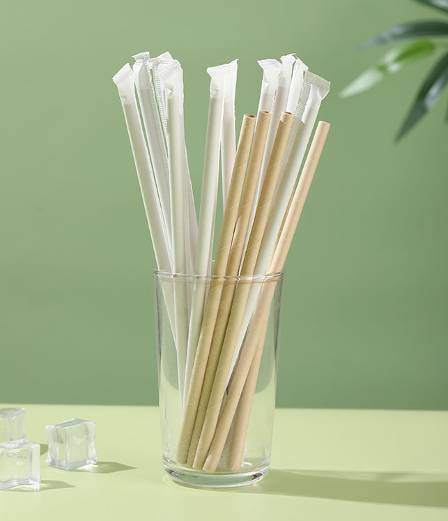 6x197mmBamboo pulp straw (3)