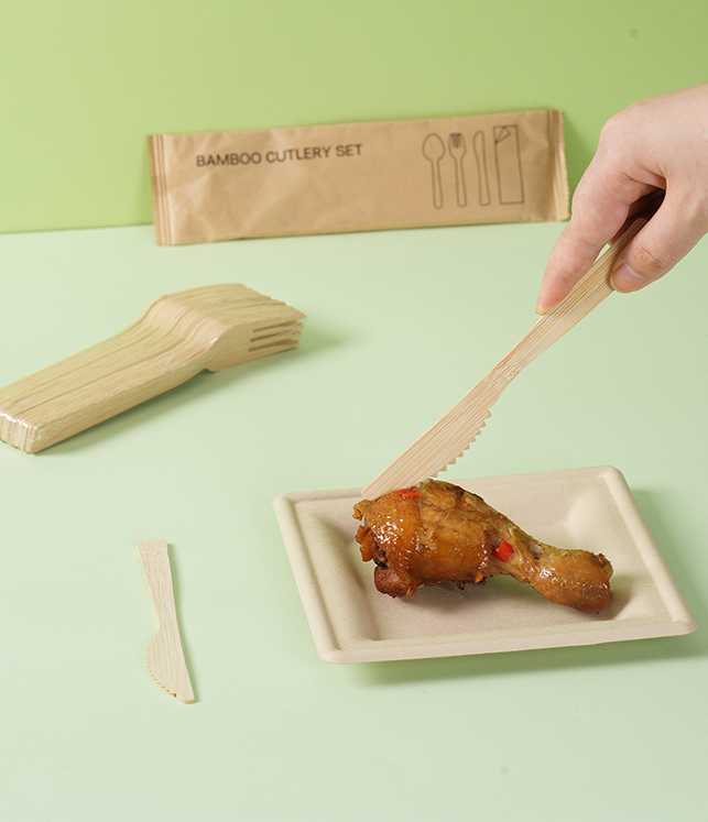 Bamboo Disposable Cutlery (5)